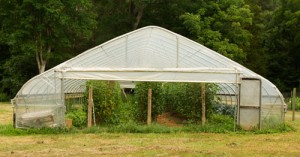 High tunnel at Harland's Creek Farm