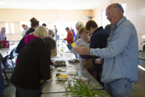 Seed Swap