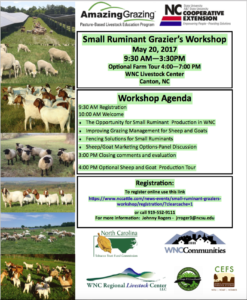 Small Ruminant Workshop flyer