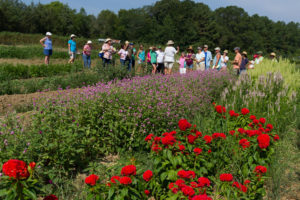 Cover photo for 45 Farms on the Piedmont Farm Tour April 28-29, 2018!