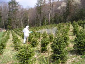 pesticide applicator spraying trees in field