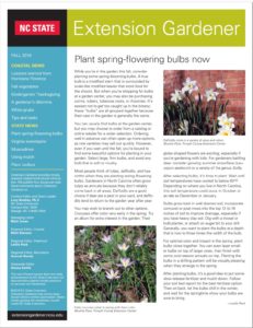 Image of Newsletter Cover