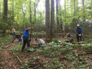 Cover photo for Online Woodland Stewards Program