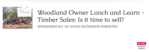 Cover photo for Woodland Owner Lunch and Learn Webinar April 9--Timber Sales