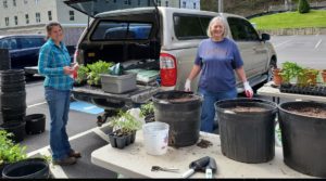 garden distribution