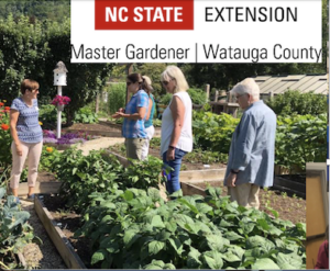 Master Gardeners learning about vegetable gardening