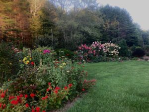 Cover photo for Fall Professional Landscape Day 2023