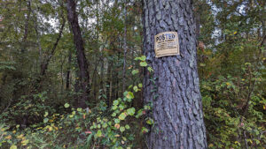 trespassing sign posted on tree