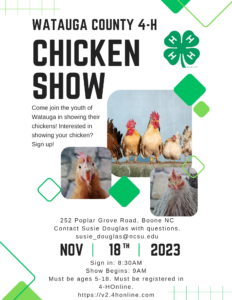 Flyer showing images and date for 4-H Chicken Show.