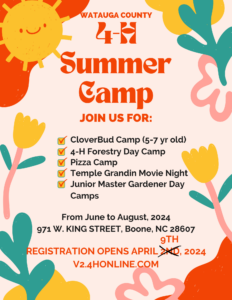 Summer Camp Registration Opens April 9th via 4-H Online