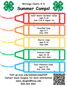 Cover photo for Watauga County 4-H Summer Day Camp Registration Is Open