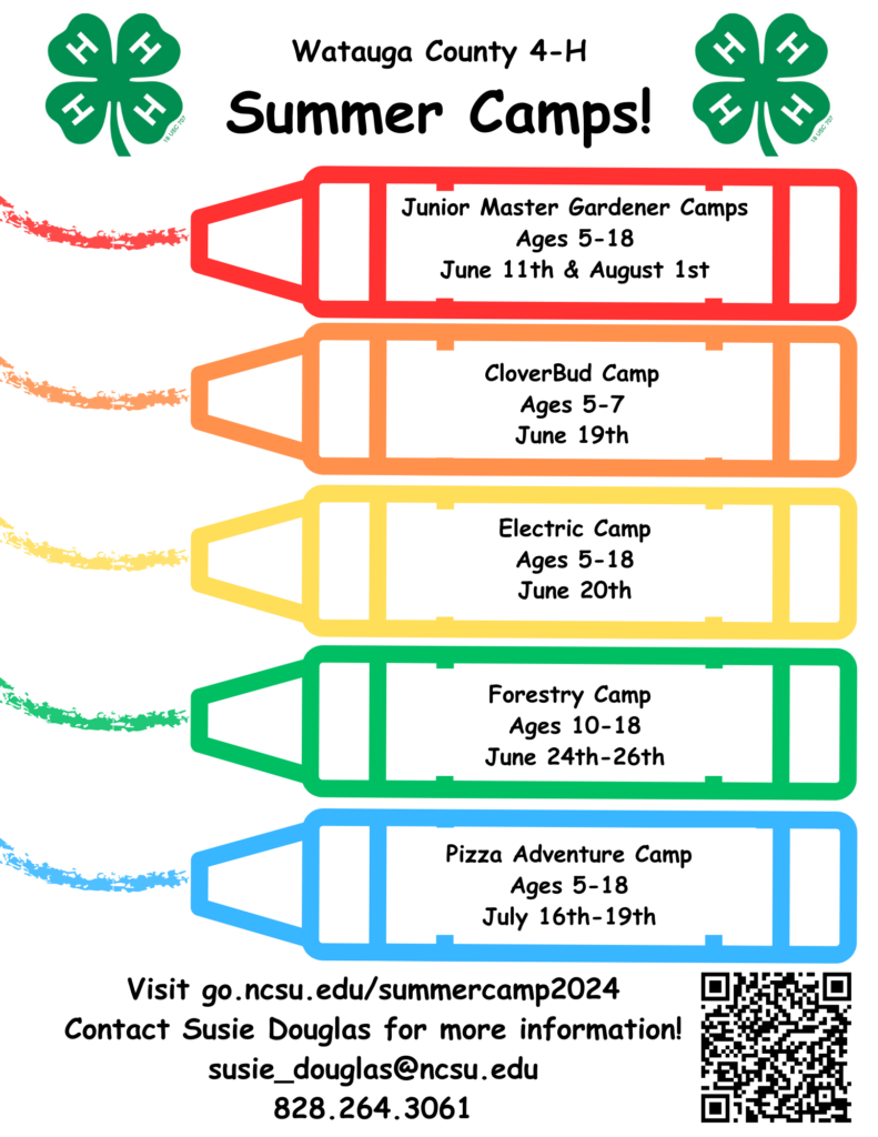 Watauga County 4-H Summer Camps Flyer
