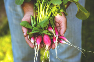a person holding radishes