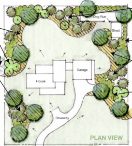 Landscape Plan for a backyard property