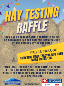 hay raffle info