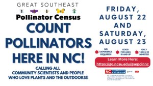 Time to Count Insects in North Carolina on Friday August 22 and August 23 2025